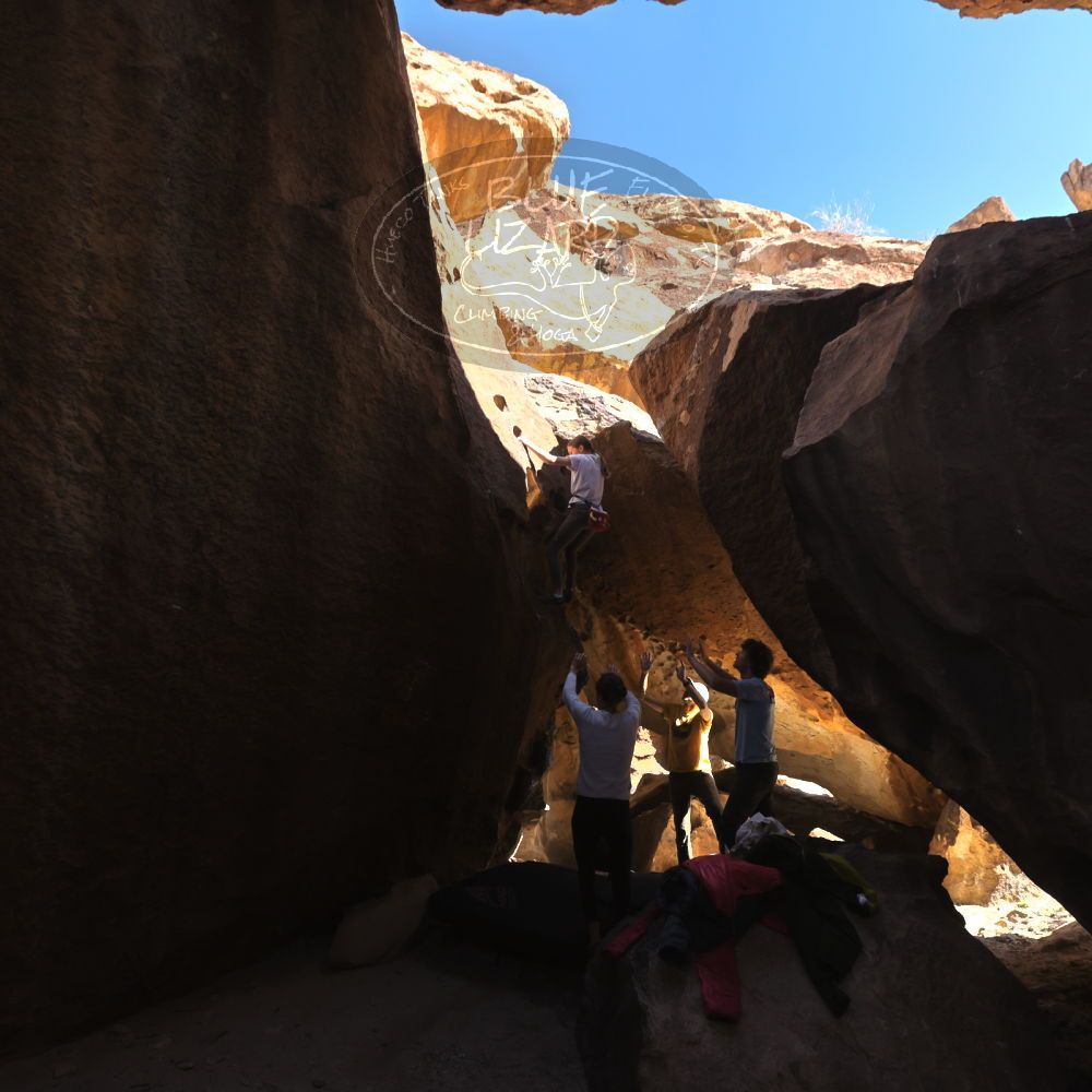 

Filename: SRM_20230314_1433440.jpg
Aperture: f/5.6
Shutter Speed: 1/500
Body: Canon EOS R6
Lens: Canon EF 16-35mm f/2.8 L