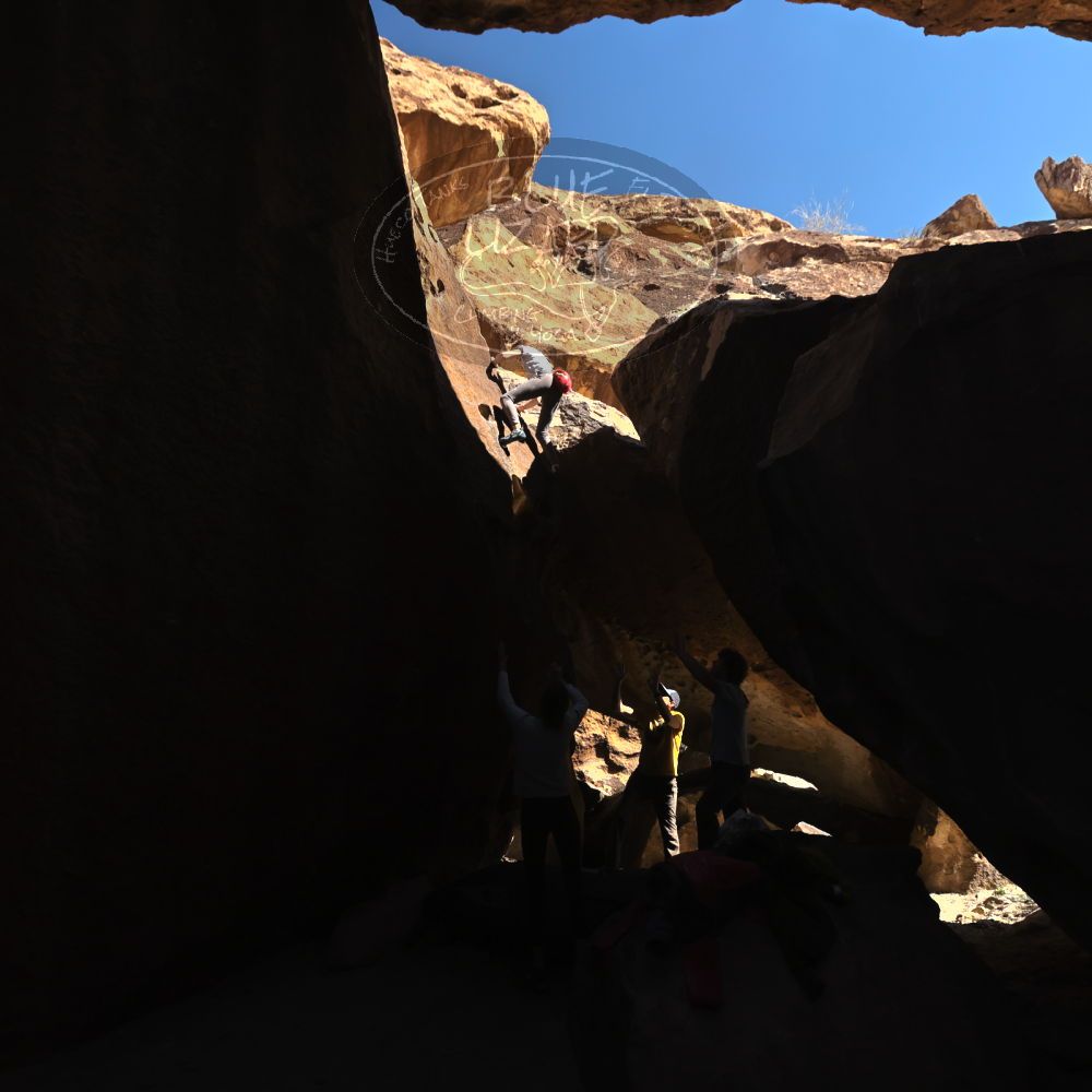 

Filename: SRM_20230314_1434190.jpg
Aperture: f/5.6
Shutter Speed: 1/500
Body: Canon EOS R6
Lens: Canon EF 16-35mm f/2.8 L