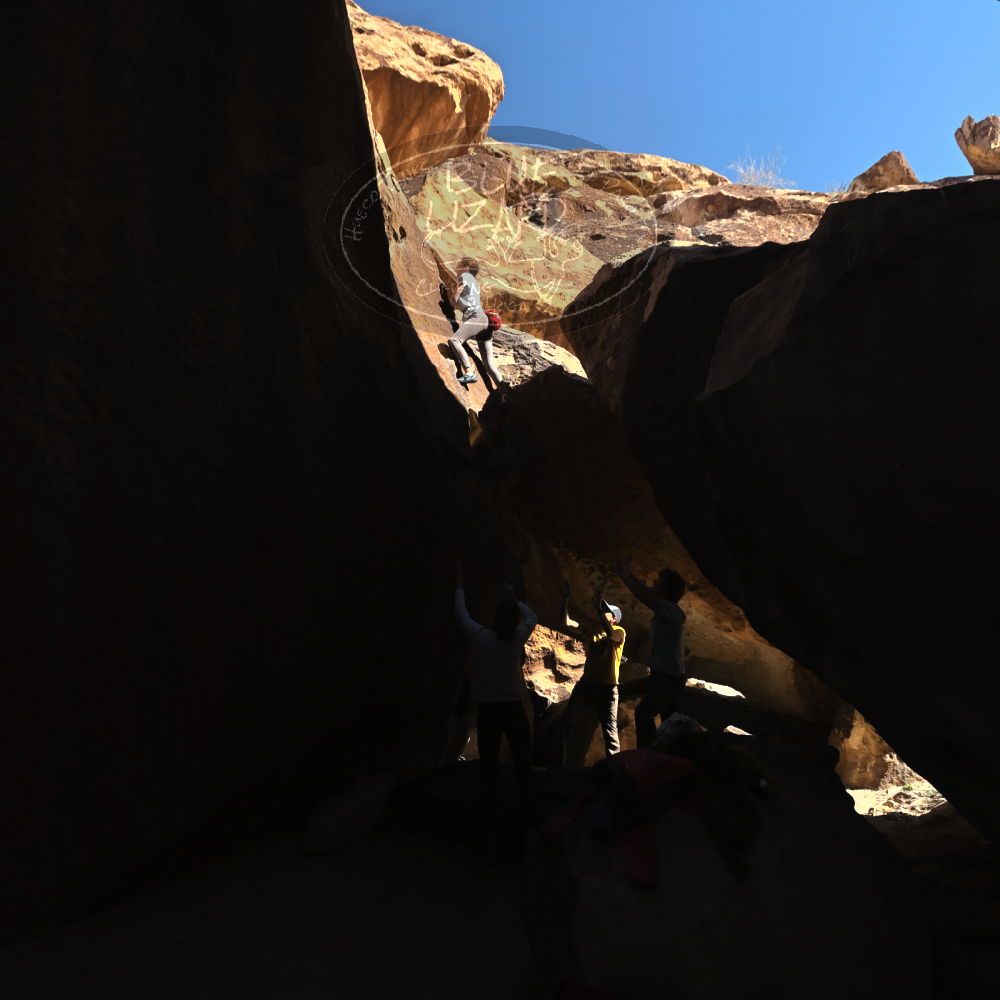 

Filename: SRM_20230314_1434210.jpg
Aperture: f/5.6
Shutter Speed: 1/500
Body: Canon EOS R6
Lens: Canon EF 16-35mm f/2.8 L