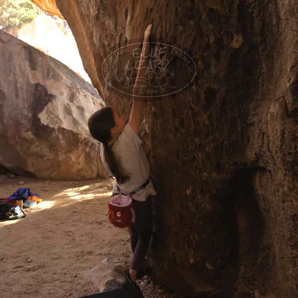 Filename: SRM_20230314_1455280.jpg
Aperture: f/7.1
Shutter Speed: 1/500
Body: Canon EOS R6
Lens: Canon EF 16-35mm f/2.8 L