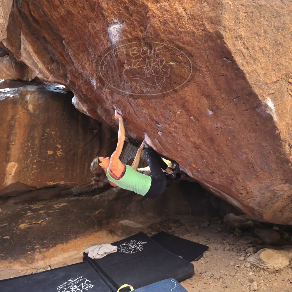 

Filename: SRM_20230314_1459220.jpg
Aperture: f/4.0
Shutter Speed: 1/250
Body: Canon EOS R6
Lens: Canon EF 16-35mm f/2.8 L