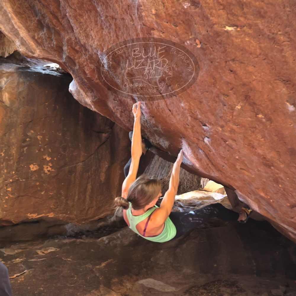 

Filename: SRM_20230314_1501140.jpg
Aperture: f/4.0
Shutter Speed: 1/250
Body: Canon EOS R6
Lens: Canon EF 16-35mm f/2.8 L