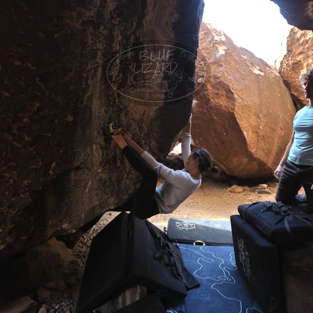 

Filename: SRM_20230314_1514260.jpg
Aperture: f/4.0
Shutter Speed: 1/250
Body: Canon EOS R6
Lens: Canon EF 16-35mm f/2.8 L