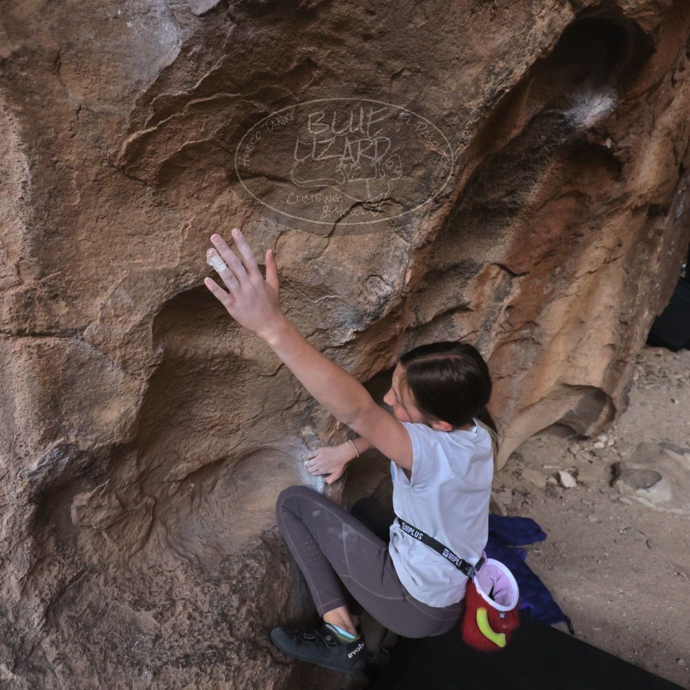 

Filename: SRM_20230314_1546391.jpg
Aperture: f/4.0
Shutter Speed: 1/250
Body: Canon EOS R6
Lens: Canon EF 16-35mm f/2.8 L