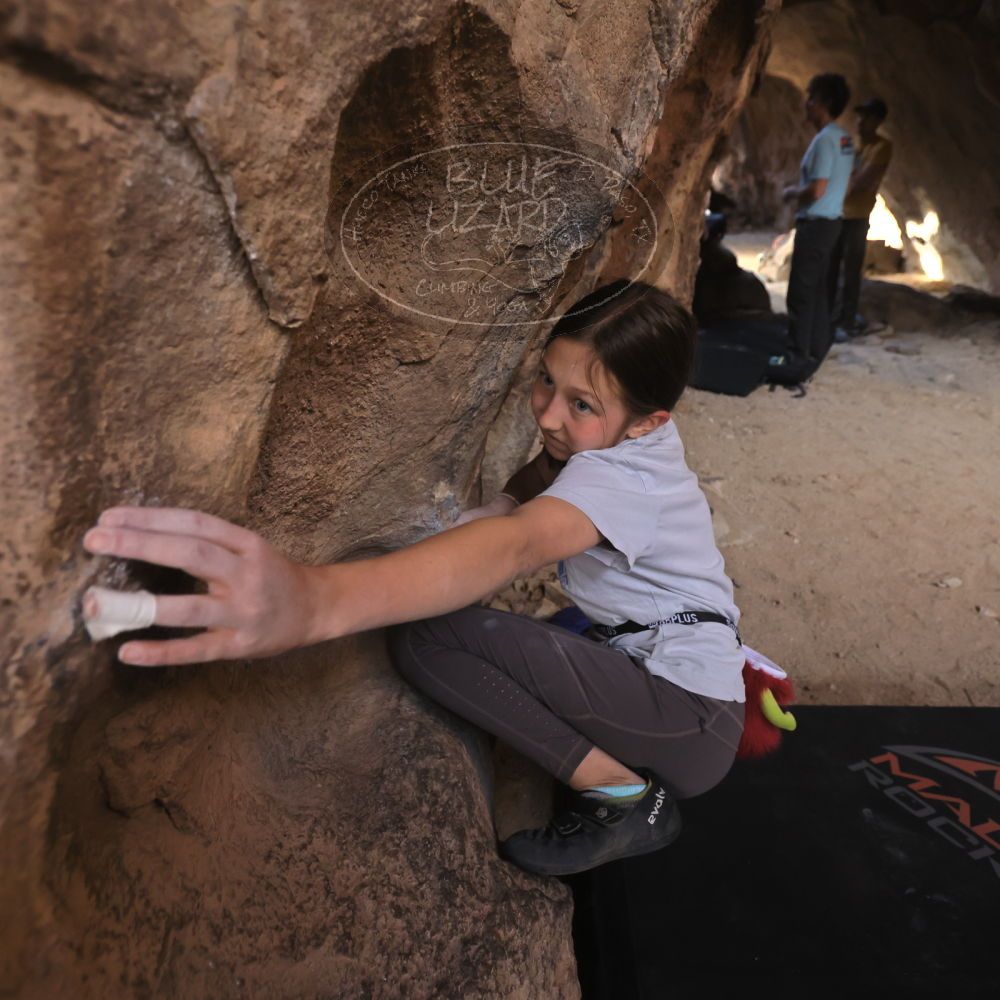 

Filename: SRM_20230314_1547341.jpg
Aperture: f/4.0
Shutter Speed: 1/250
Body: Canon EOS R6
Lens: Canon EF 16-35mm f/2.8 L