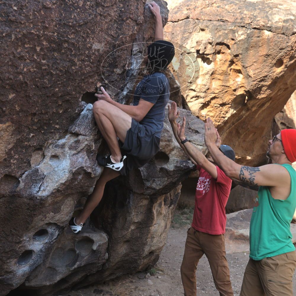 Filename: SRM_20230315_0830360.jpg
Aperture: f/4.0
Shutter Speed: 1/250
Body: Canon EOS R6
Lens: Canon EF 16-35mm f/2.8 L