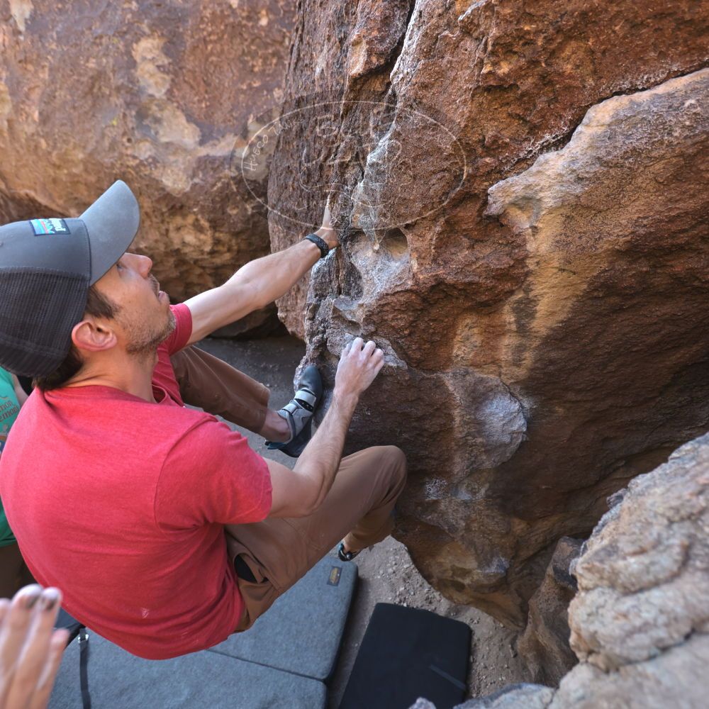 Filename: SRM_20230315_0835320.jpg
Aperture: f/4.0
Shutter Speed: 1/250
Body: Canon EOS R6
Lens: Canon EF 16-35mm f/2.8 L