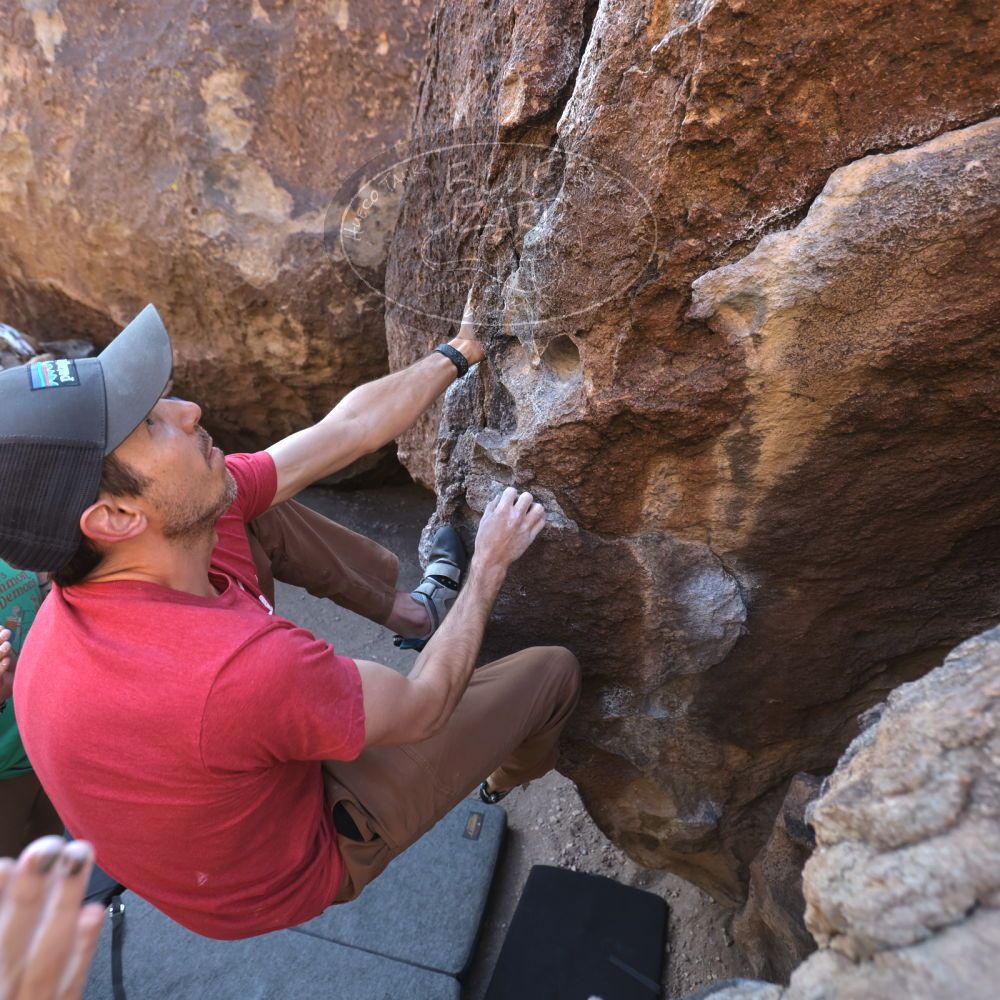 Filename: SRM_20230315_0835321.jpg
Aperture: f/4.0
Shutter Speed: 1/250
Body: Canon EOS R6
Lens: Canon EF 16-35mm f/2.8 L