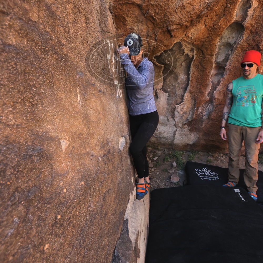 Filename: SRM_20230315_0920420.jpg
Aperture: f/5.0
Shutter Speed: 1/320
Body: Canon EOS R6
Lens: Canon EF 16-35mm f/2.8 L