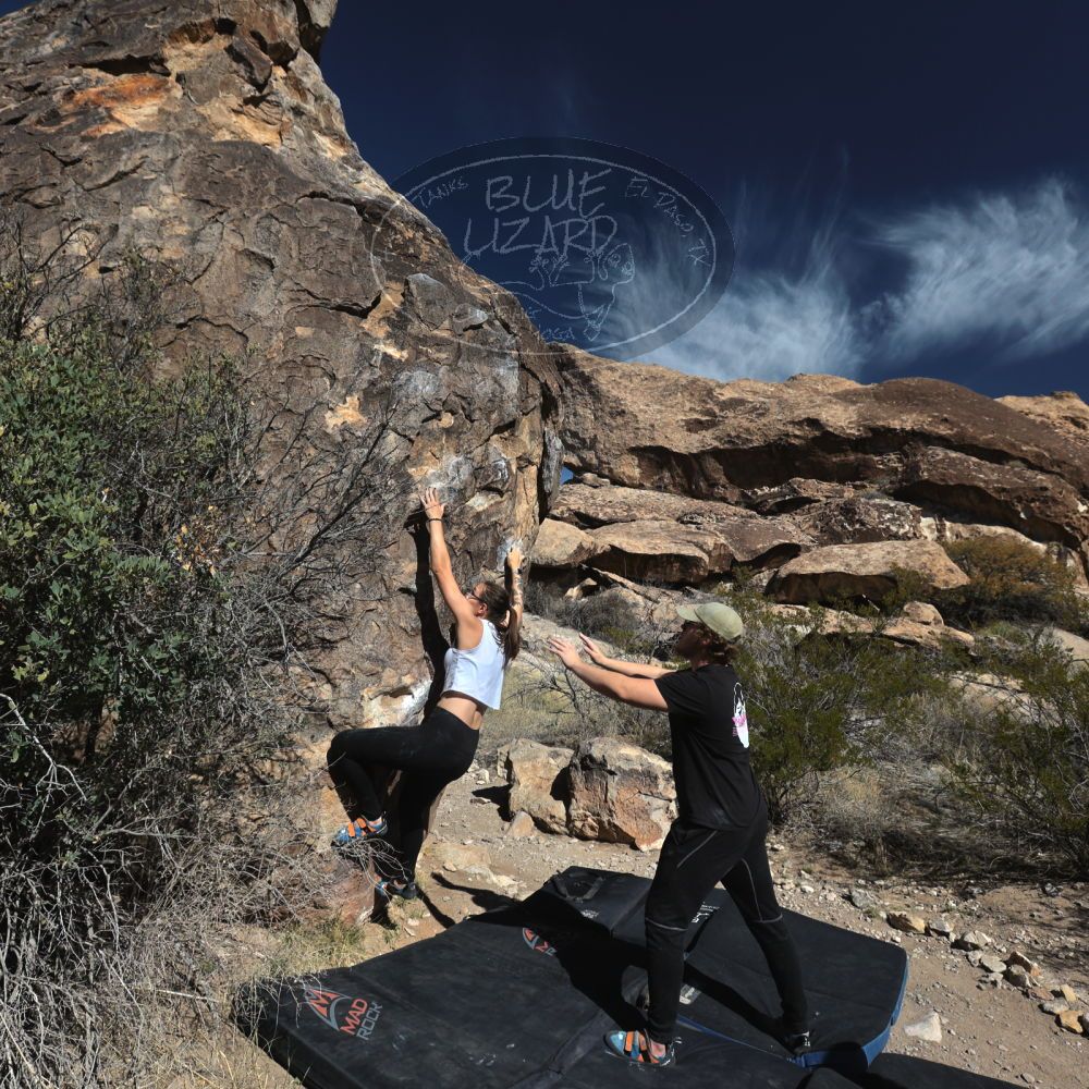 

Filename: SRM_20230315_0944540.jpg
Aperture: f/8.0
Shutter Speed: 1/500
Body: Canon EOS R6
Lens: Canon EF 16-35mm f/2.8 L