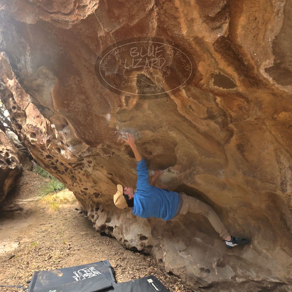 Filename: SRM_20230315_1152180.jpg
Aperture: f/5.6
Shutter Speed: 1/500
Body: Canon EOS R6
Lens: Canon EF 16-35mm f/2.8 L