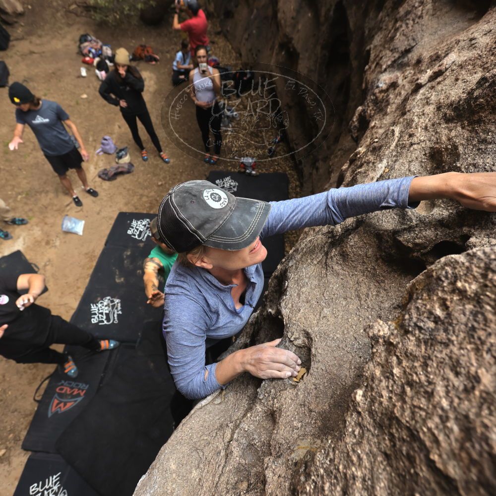 

Filename: SRM_20230315_1206120.jpg
Aperture: f/5.0
Shutter Speed: 1/320
Body: Canon EOS R6
Lens: Canon EF 16-35mm f/2.8 L