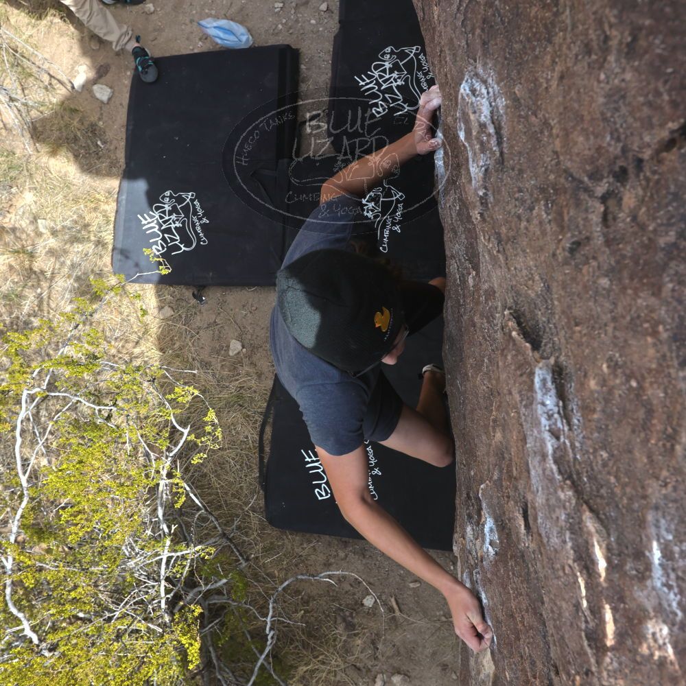 

Filename: SRM_20230315_1403290.jpg
Aperture: f/8.0
Shutter Speed: 1/500
Body: Canon EOS R6
Lens: Canon EF 16-35mm f/2.8 L