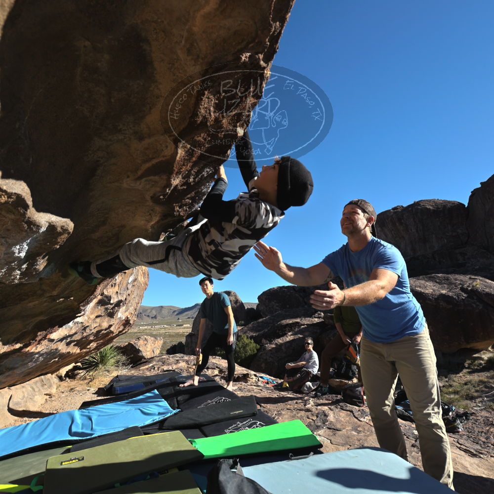 

Filename: SRM_20231119_0924200.jpg
Aperture: f/5.6
Shutter Speed: 1/2000
Body: Canon EOS R6
Lens: Canon EF 16-35mm f/2.8 L