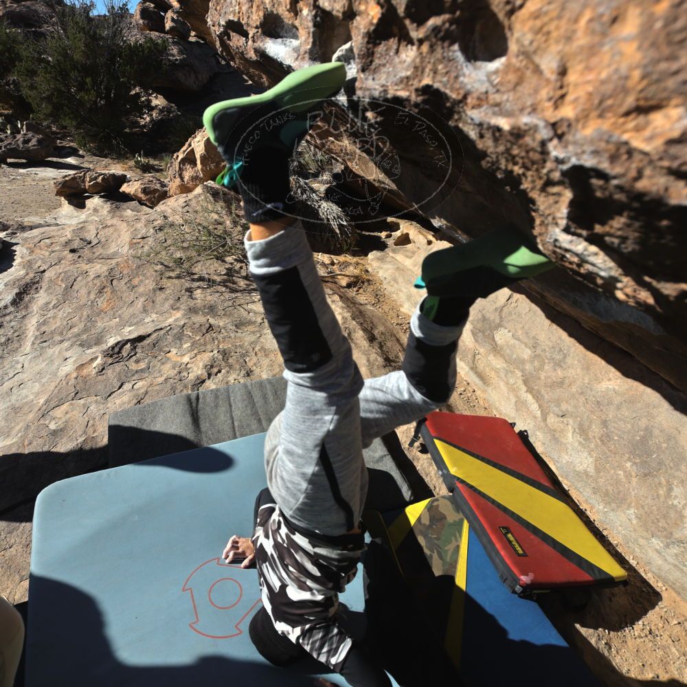 Filename: SRM_20231119_0939410.jpg
Aperture: f/5.6
Shutter Speed: 1/2000
Body: Canon EOS R6
Lens: Canon EF 16-35mm f/2.8 L