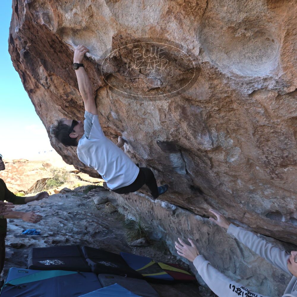 Filename: SRM_20231119_1018570.jpg
Aperture: f/5.6
Shutter Speed: 1/2000
Body: Canon EOS R6
Lens: Canon EF 16-35mm f/2.8 L