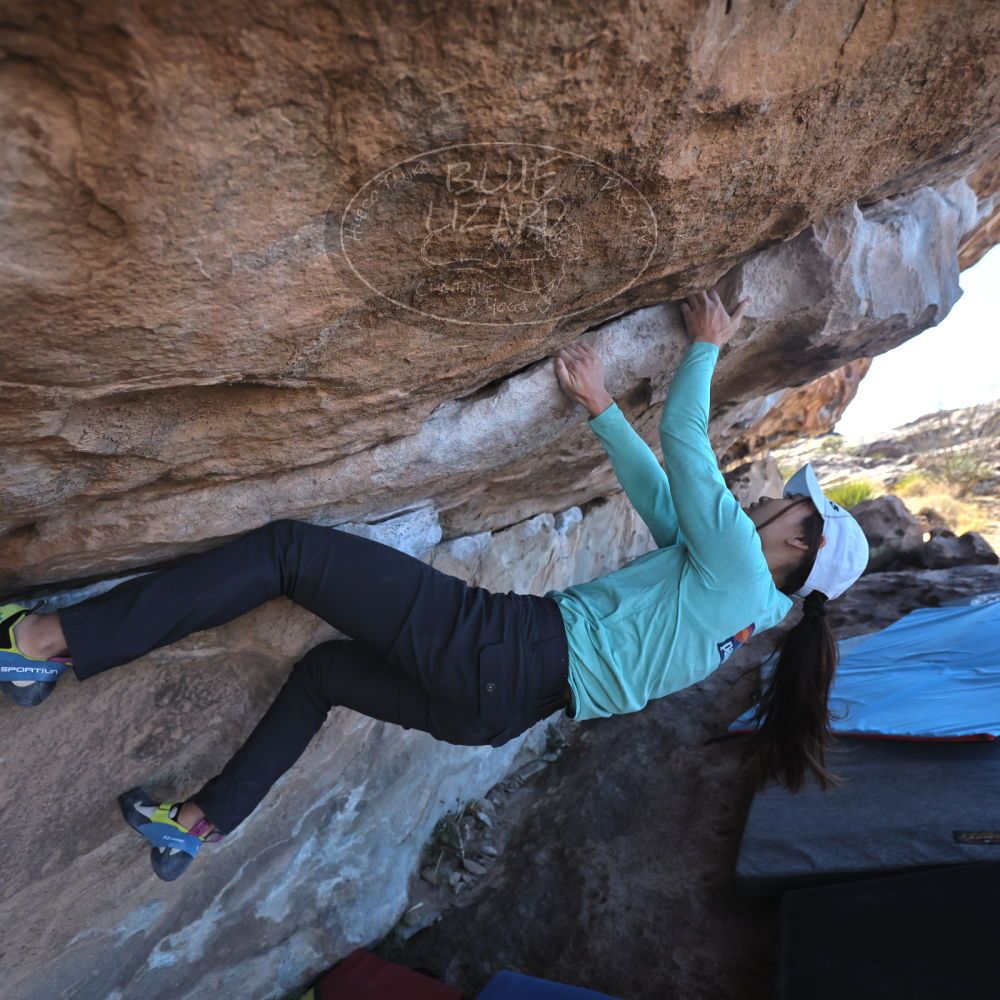 Filename: SRM_20231119_1038090.jpg
Aperture: f/4.0
Shutter Speed: 1/2000
Body: Canon EOS R6
Lens: Canon EF 16-35mm f/2.8 L