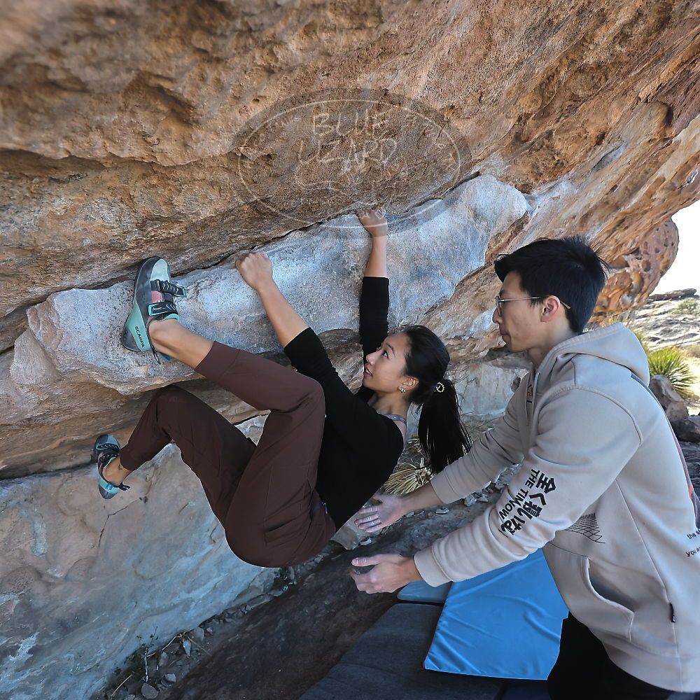 Filename: SRM_20231119_1044190.jpg
Aperture: f/4.0
Shutter Speed: 1/2000
Body: Canon EOS R6
Lens: Canon EF 16-35mm f/2.8 L