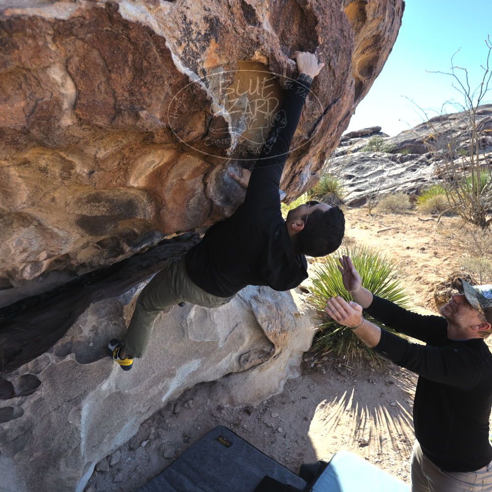 Filename: SRM_20231119_1056030.jpg
Aperture: f/4.0
Shutter Speed: 1/2000
Body: Canon EOS R6
Lens: Canon EF 16-35mm f/2.8 L