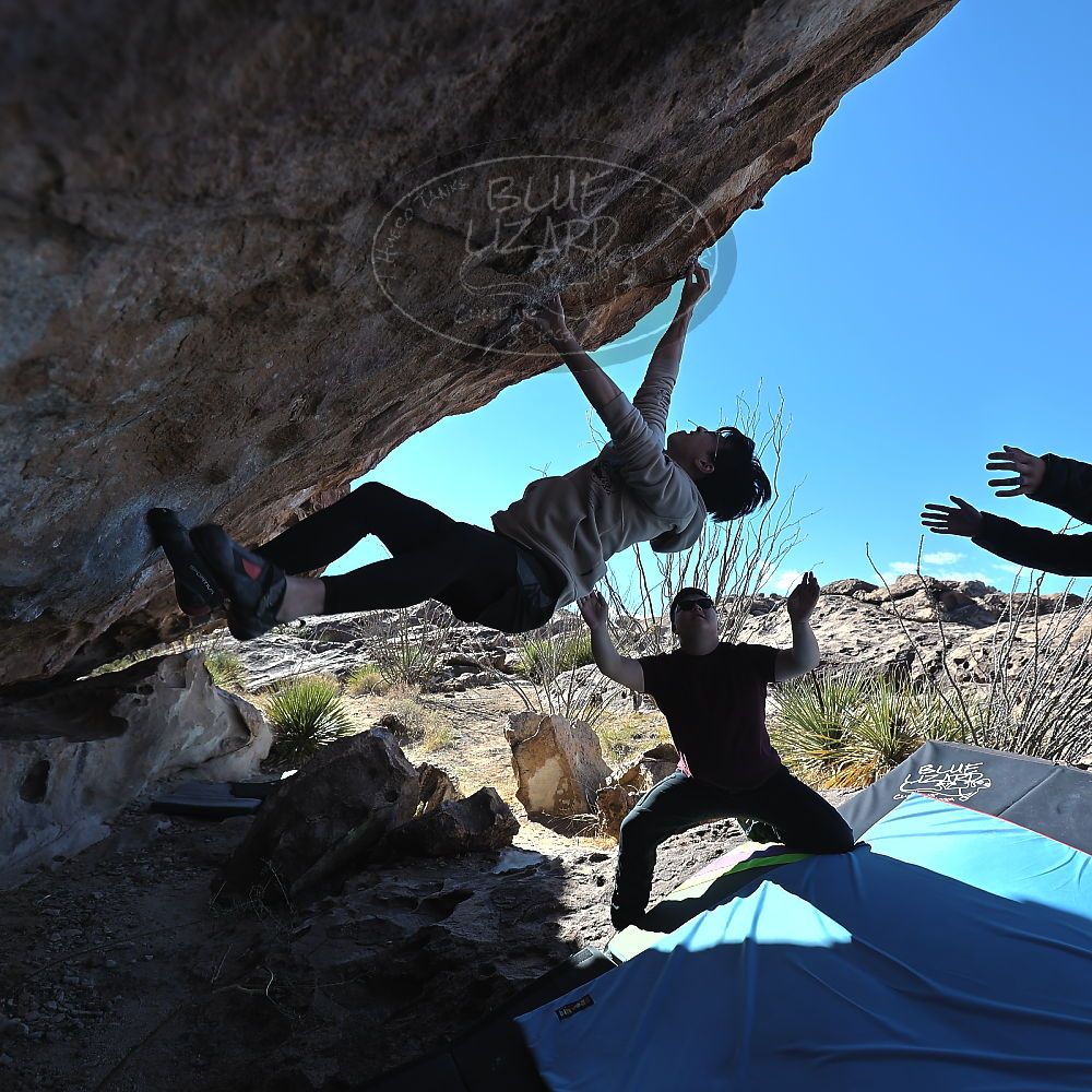 Filename: SRM_20231119_1108100.jpg
Aperture: f/4.0
Shutter Speed: 1/640
Body: Canon EOS R6
Lens: Canon EF 16-35mm f/2.8 L