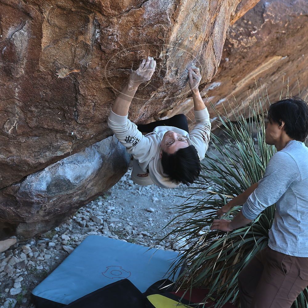 

Filename: SRM_20231119_1139410.jpg
Aperture: f/4.0
Shutter Speed: 1/640
Body: Canon EOS R6
Lens: Canon EF 16-35mm f/2.8 L