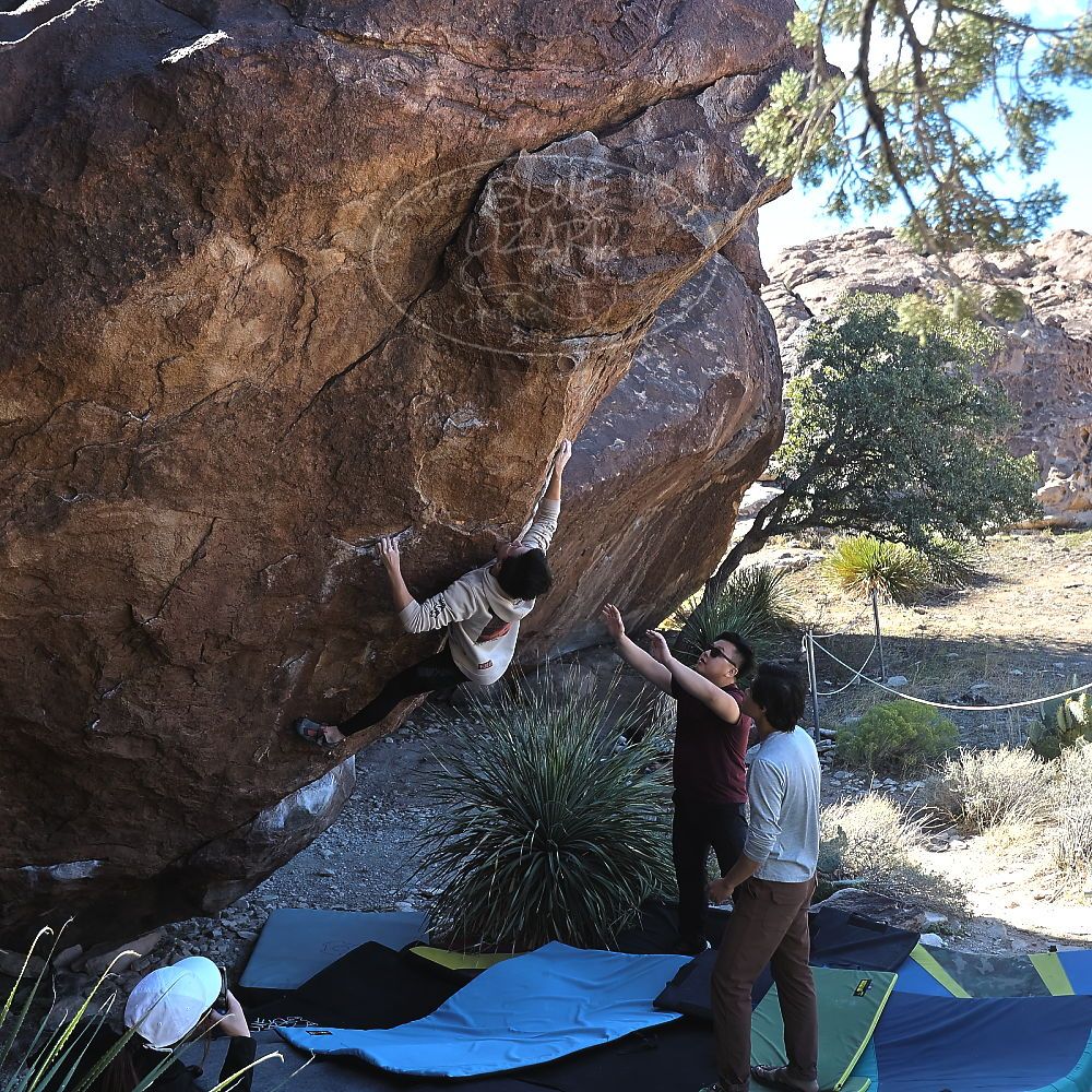 Filename: SRM_20231119_1139530.jpg
Aperture: f/4.0
Shutter Speed: 1/640
Body: Canon EOS R6
Lens: Canon EF 16-35mm f/2.8 L