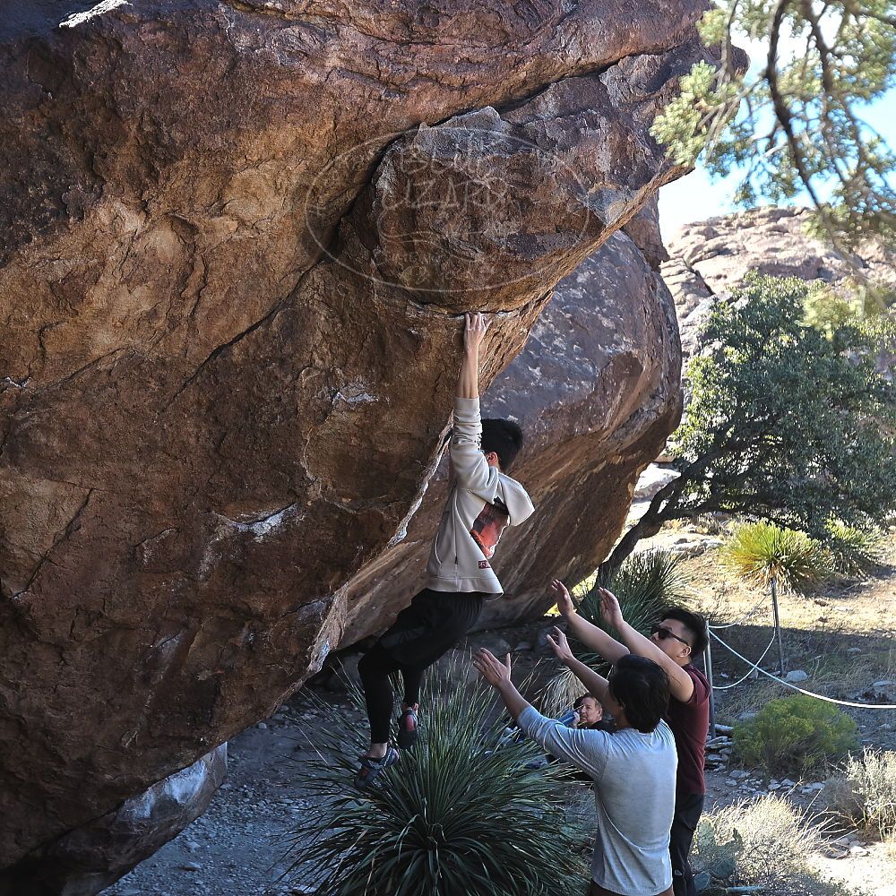 

Filename: SRM_20231119_1140060.jpg
Aperture: f/4.0
Shutter Speed: 1/640
Body: Canon EOS R6
Lens: Canon EF 16-35mm f/2.8 L