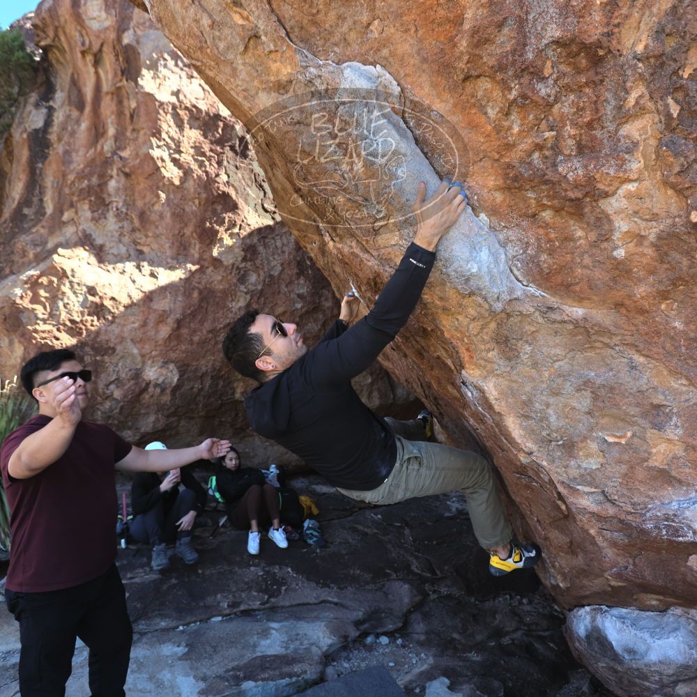 

Filename: SRM_20231119_1220200.jpg
Aperture: f/4.0
Shutter Speed: 1/640
Body: Canon EOS R6
Lens: Canon EF 16-35mm f/2.8 L