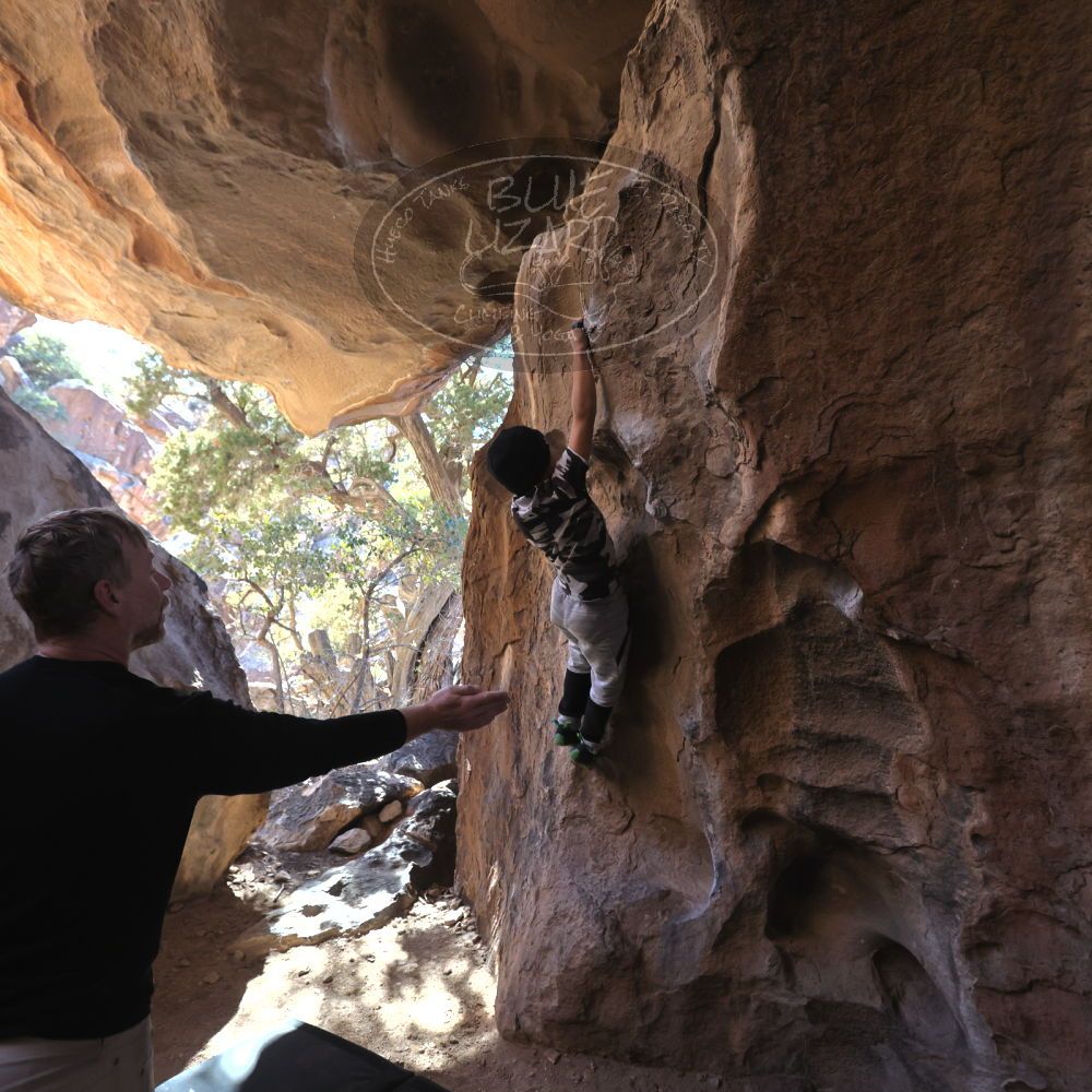 

Filename: SRM_20231119_1329570.jpg
Aperture: f/4.0
Shutter Speed: 1/640
Body: Canon EOS R6
Lens: Canon EF 16-35mm f/2.8 L