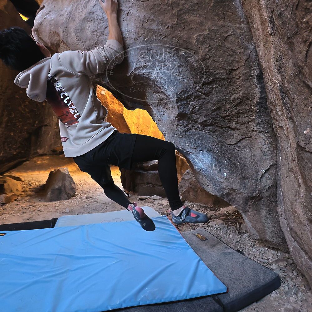 Filename: SRM_20231119_1353090.jpg
Aperture: f/4.0
Shutter Speed: 1/640
Body: Canon EOS R6
Lens: Canon EF 16-35mm f/2.8 L