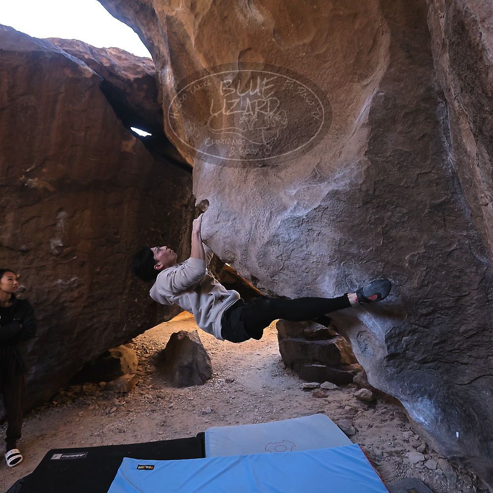 

Filename: SRM_20231119_1353210.jpg
Aperture: f/4.0
Shutter Speed: 1/640
Body: Canon EOS R6
Lens: Canon EF 16-35mm f/2.8 L