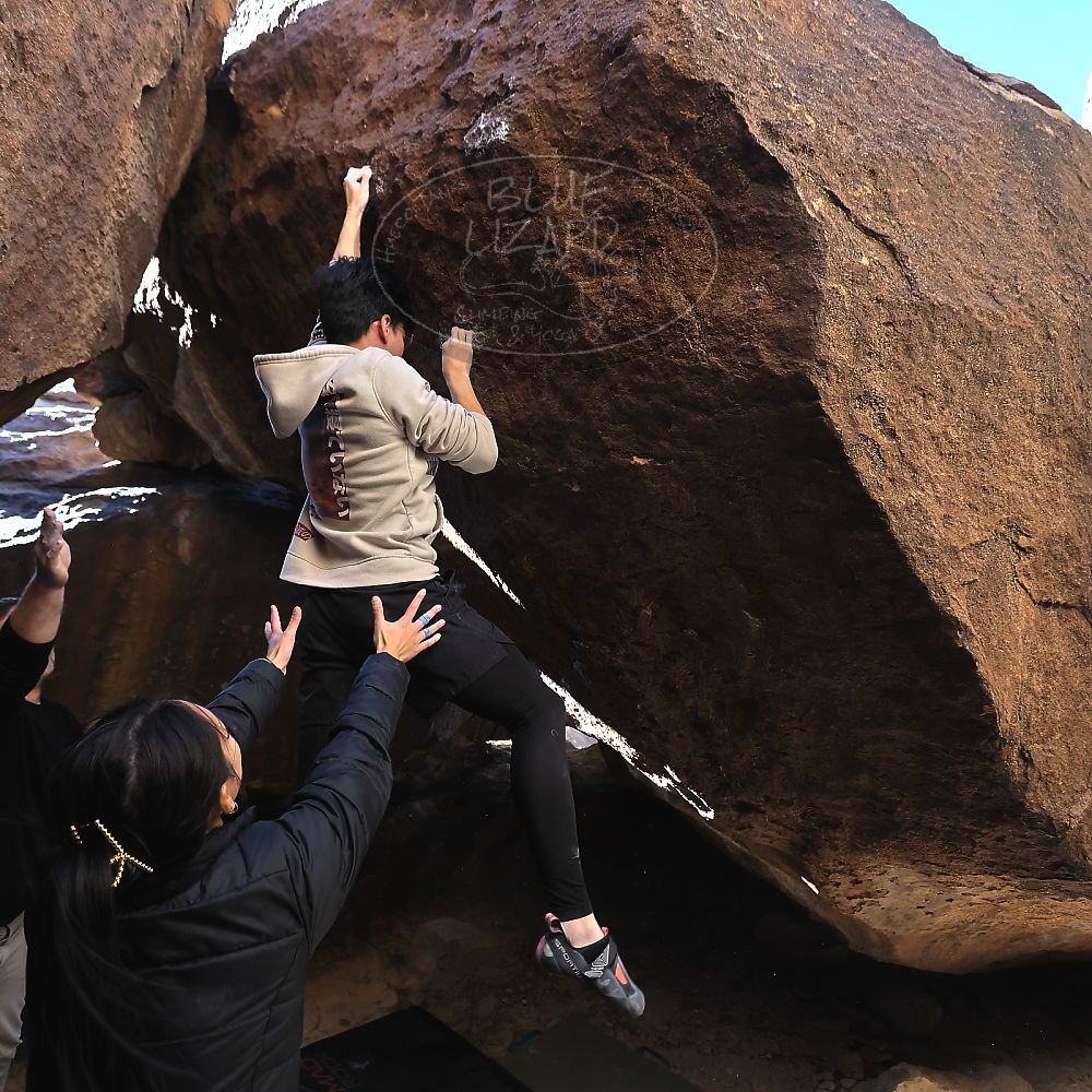 Filename: SRM_20231119_1408210.jpg
Aperture: f/4.0
Shutter Speed: 1/640
Body: Canon EOS R6
Lens: Canon EF 16-35mm f/2.8 L