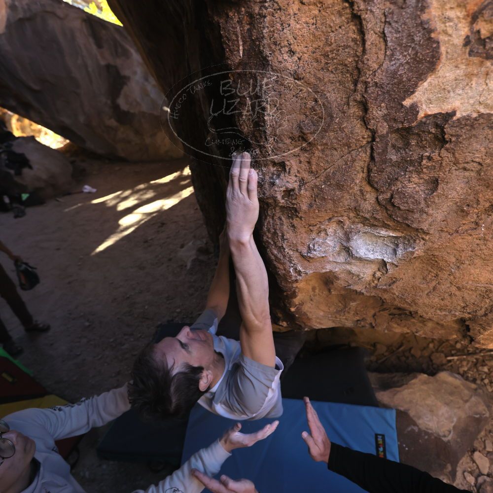 Filename: SRM_20231119_1417010.jpg
Aperture: f/4.0
Shutter Speed: 1/640
Body: Canon EOS R6
Lens: Canon EF 16-35mm f/2.8 L