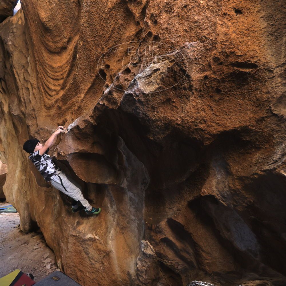 

Filename: SRM_20231119_1441460.jpg
Aperture: f/4.0
Shutter Speed: 1/500
Body: Canon EOS R6
Lens: Canon EF 16-35mm f/2.8 L