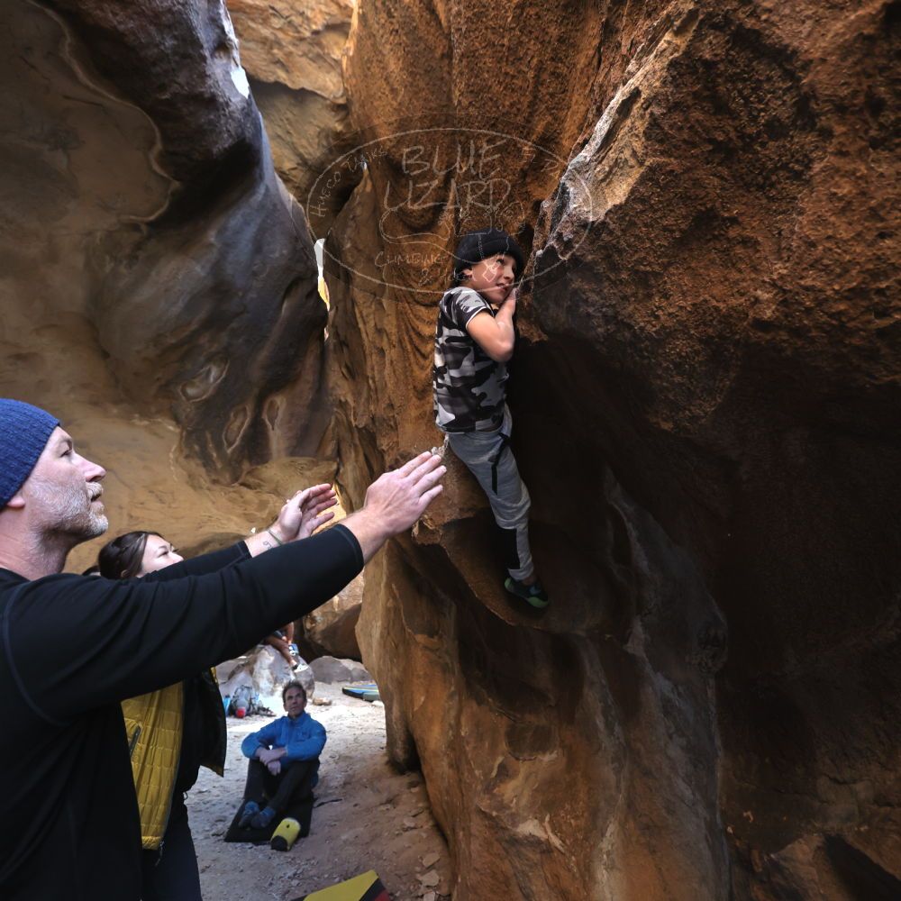 

Filename: SRM_20231119_1450480.jpg
Aperture: f/4.0
Shutter Speed: 1/500
Body: Canon EOS R6
Lens: Canon EF 16-35mm f/2.8 L