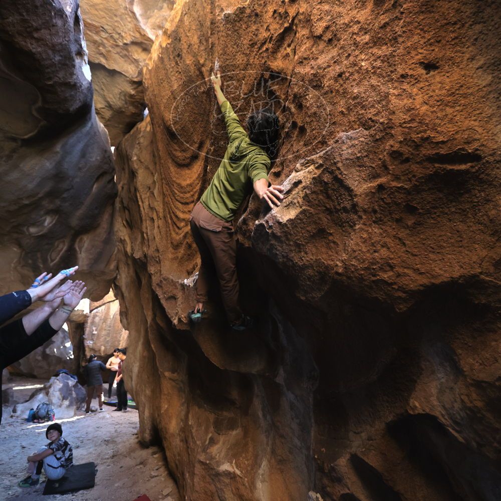 

Filename: SRM_20231119_1501170.jpg
Aperture: f/4.0
Shutter Speed: 1/800
Body: Canon EOS R6
Lens: Canon EF 16-35mm f/2.8 L