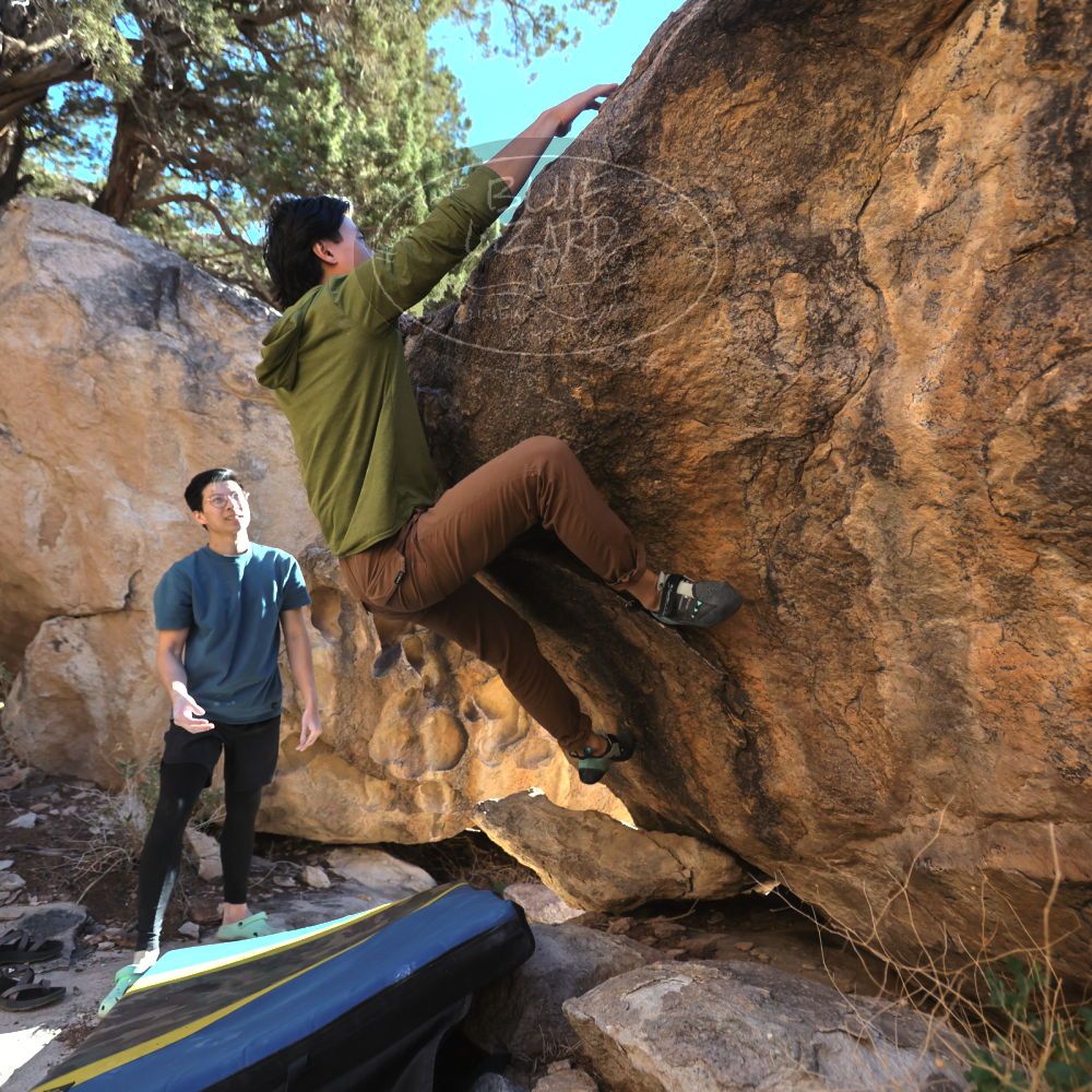 

Filename: SRM_20231119_1525300.jpg
Aperture: f/4.0
Shutter Speed: 1/1250
Body: Canon EOS R6
Lens: Canon EF 16-35mm f/2.8 L