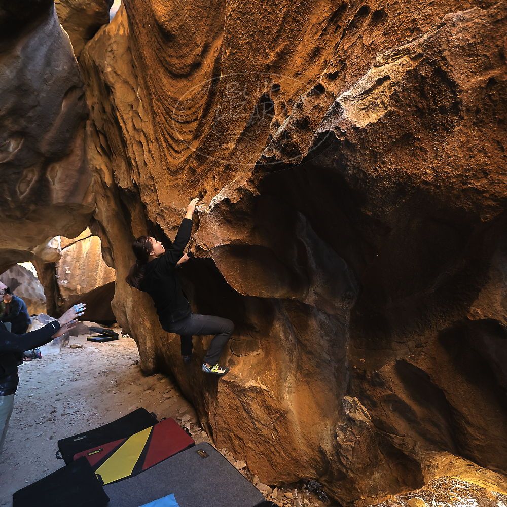 Filename: SRM_20231119_1532020.jpg
Aperture: f/4.0
Shutter Speed: 1/500
Body: Canon EOS R6
Lens: Canon EF 16-35mm f/2.8 L