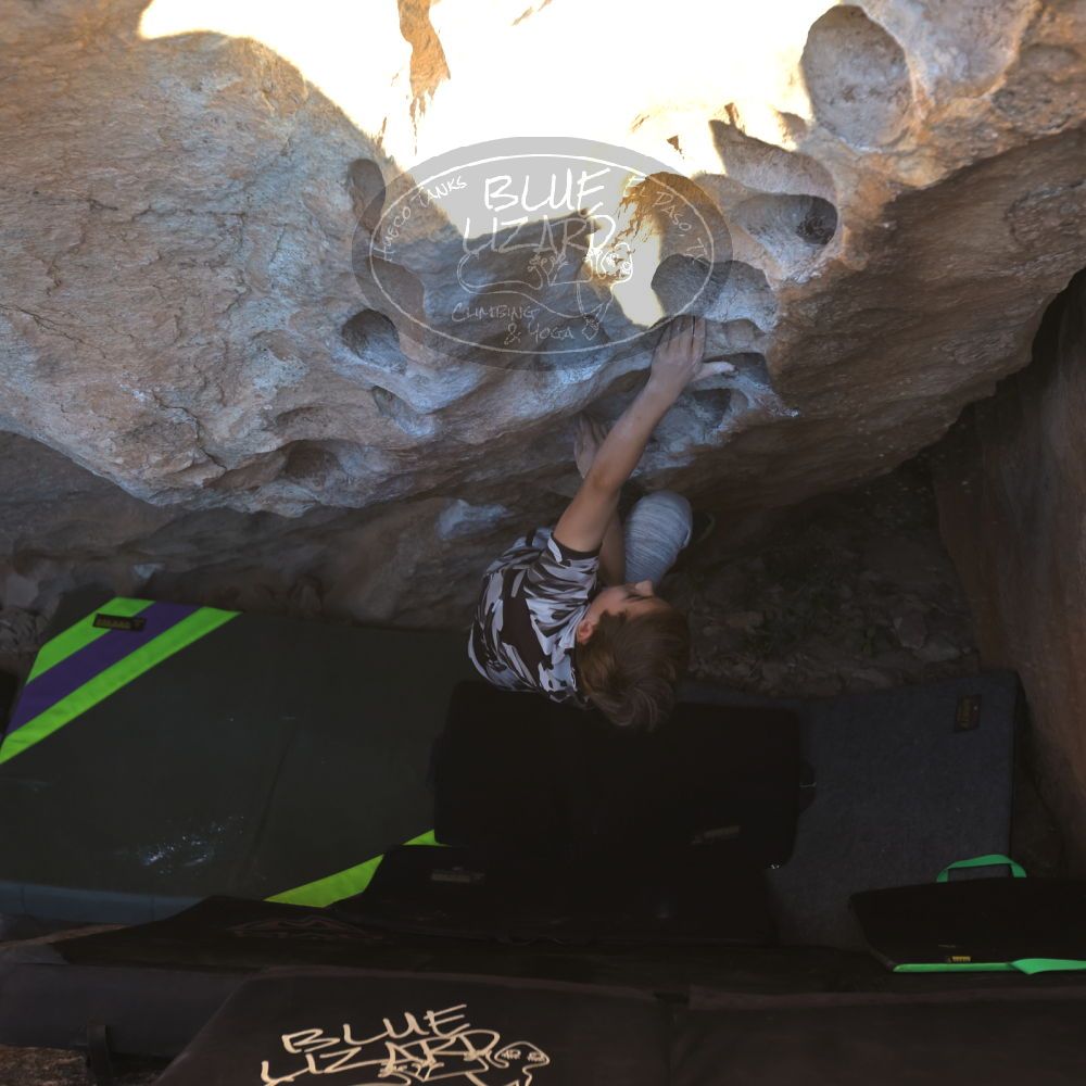 

Filename: SRM_20231119_1605160.jpg
Aperture: f/4.0
Shutter Speed: 1/500
Body: Canon EOS R6
Lens: Canon EF 16-35mm f/2.8 L