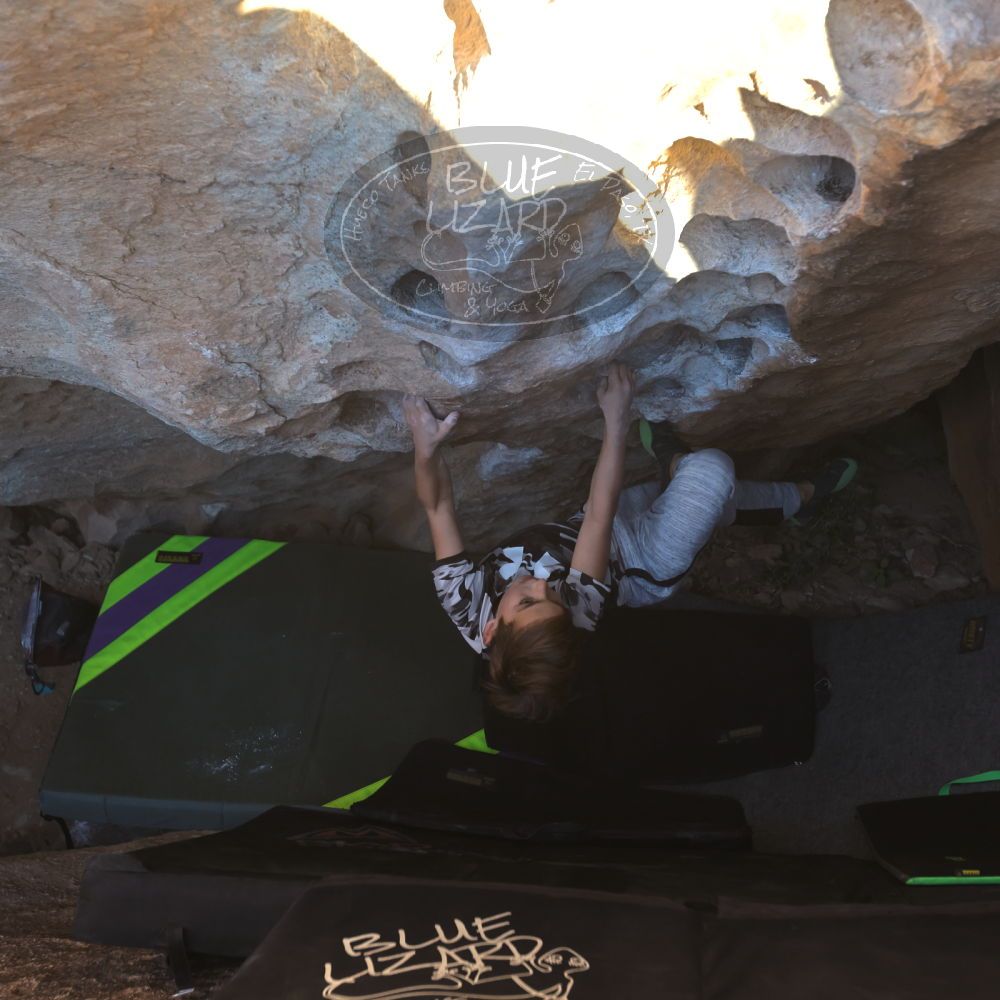 Filename: SRM_20231119_1606230.jpg
Aperture: f/4.0
Shutter Speed: 1/500
Body: Canon EOS R6
Lens: Canon EF 16-35mm f/2.8 L