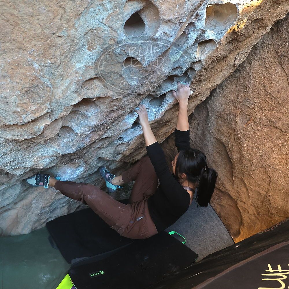 Filename: SRM_20231119_1623190.jpg
Aperture: f/5.6
Shutter Speed: 1/500
Body: Canon EOS R6
Lens: Canon EF 16-35mm f/2.8 L