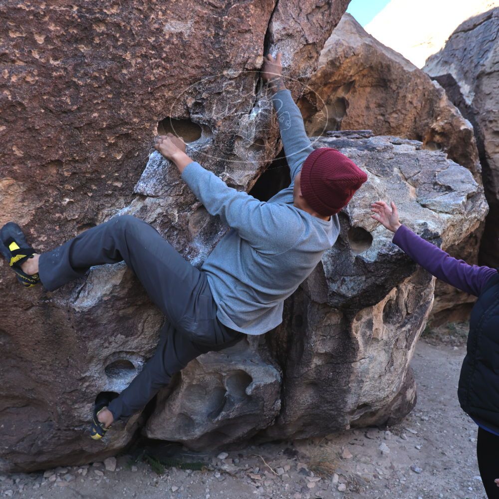 Filename: SRM_20231120_0914240.jpg
Aperture: f/5.6
Shutter Speed: 1/400
Body: Canon EOS R6
Lens: Canon EF 16-35mm f/2.8 L