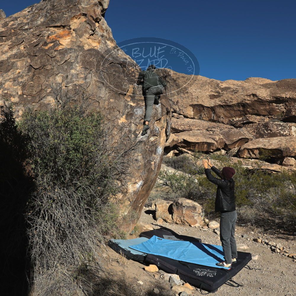 Filename: SRM_20231120_0914480.jpg
Aperture: f/8.0
Shutter Speed: 1/800
Body: Canon EOS R6
Lens: Canon EF 16-35mm f/2.8 L