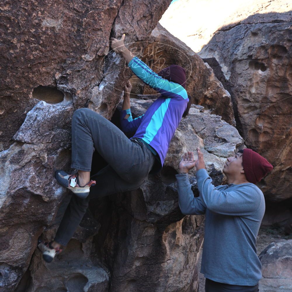 

Filename: SRM_20231120_0917500.jpg
Aperture: f/8.0
Shutter Speed: 1/80
Body: Canon EOS R6
Lens: Canon EF 16-35mm f/2.8 L