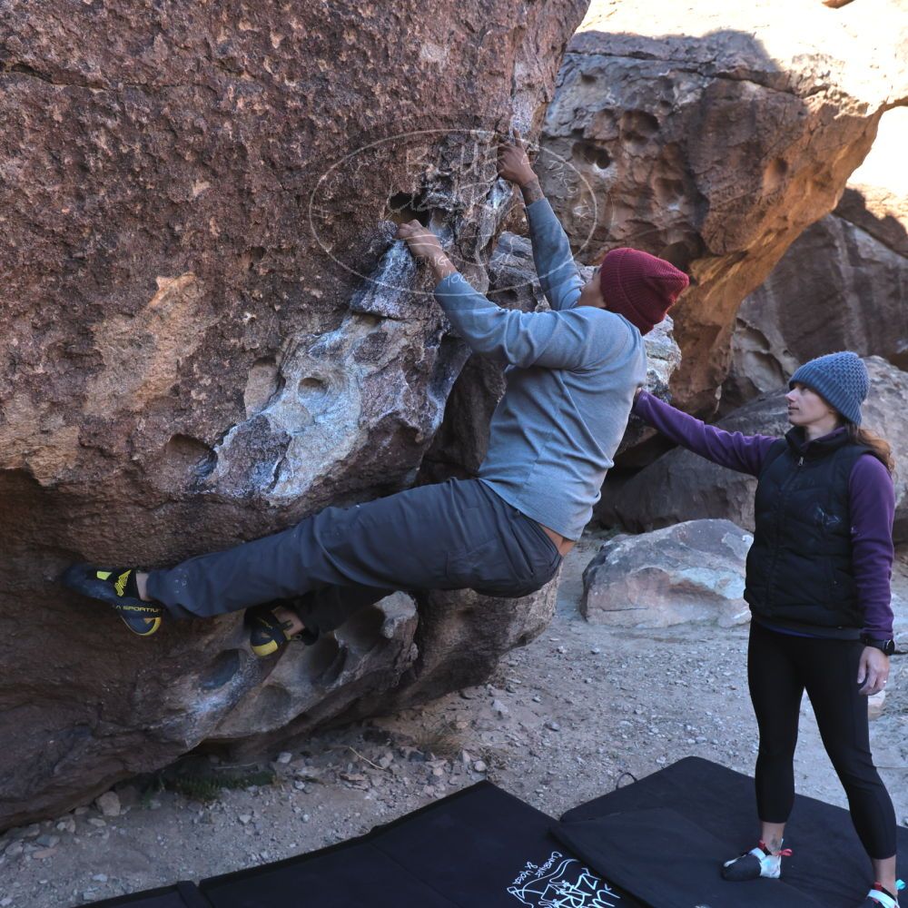 

Filename: SRM_20231120_0918450.jpg
Aperture: f/5.6
Shutter Speed: 1/500
Body: Canon EOS R6
Lens: Canon EF 16-35mm f/2.8 L