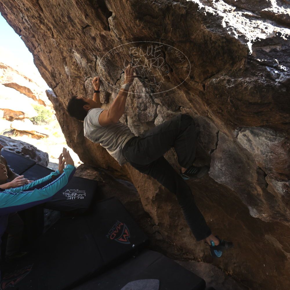 

Filename: SRM_20231120_1003320.jpg
Aperture: f/5.6
Shutter Speed: 1/800
Body: Canon EOS R6
Lens: Canon EF 16-35mm f/2.8 L