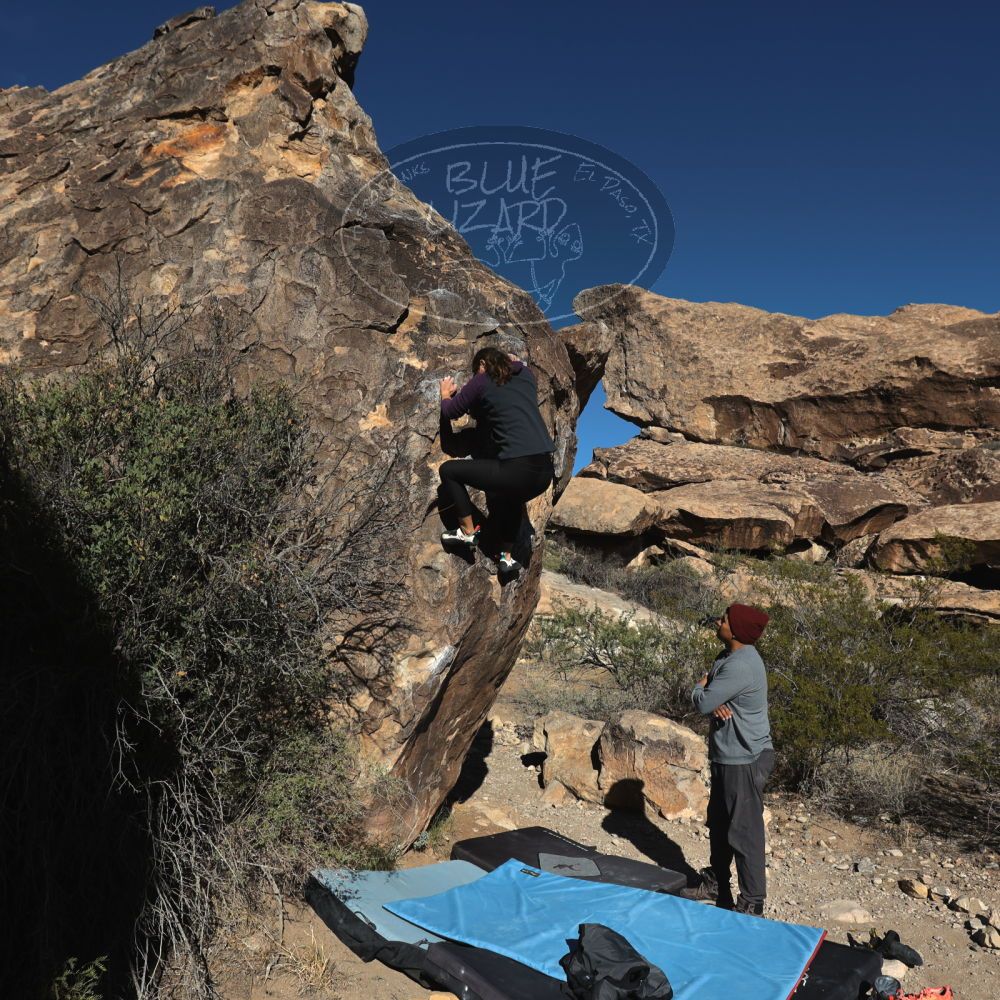 Filename: SRM_20231120_0934000.jpg
Aperture: f/8.0
Shutter Speed: 1/1000
Body: Canon EOS R6
Lens: Canon EF 16-35mm f/2.8 L