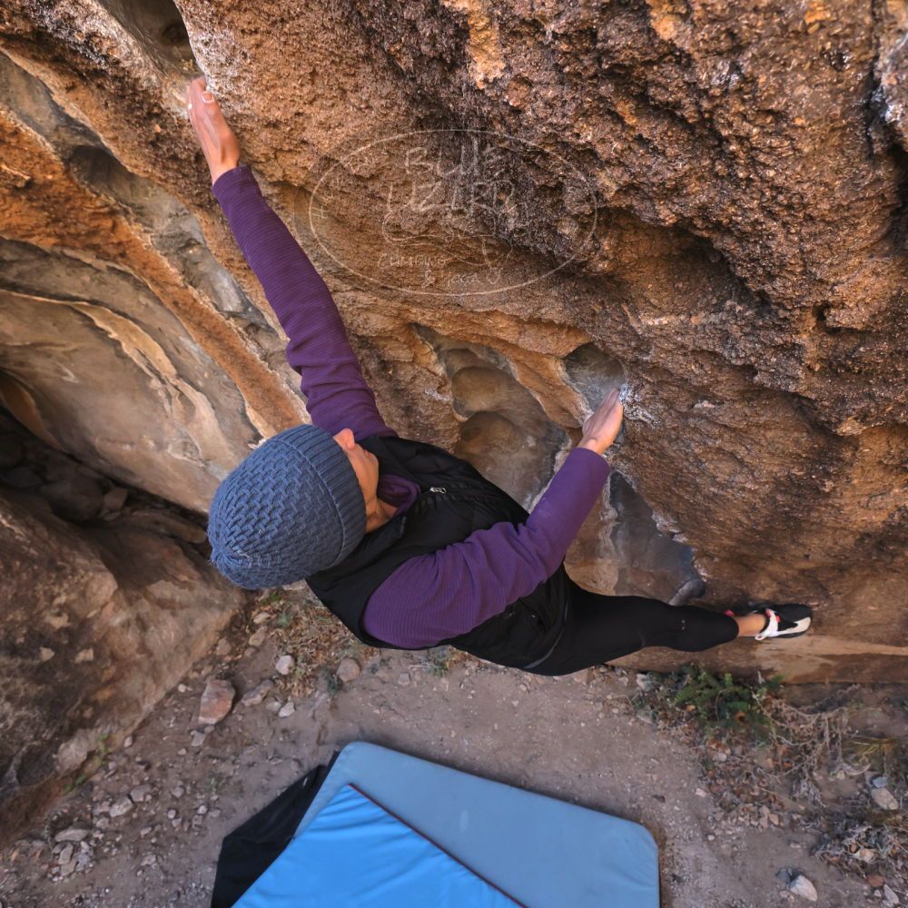 Filename: SRM_20231120_1023580.jpg
Aperture: f/5.6
Shutter Speed: 1/500
Body: Canon EOS R6
Lens: Canon EF 16-35mm f/2.8 L