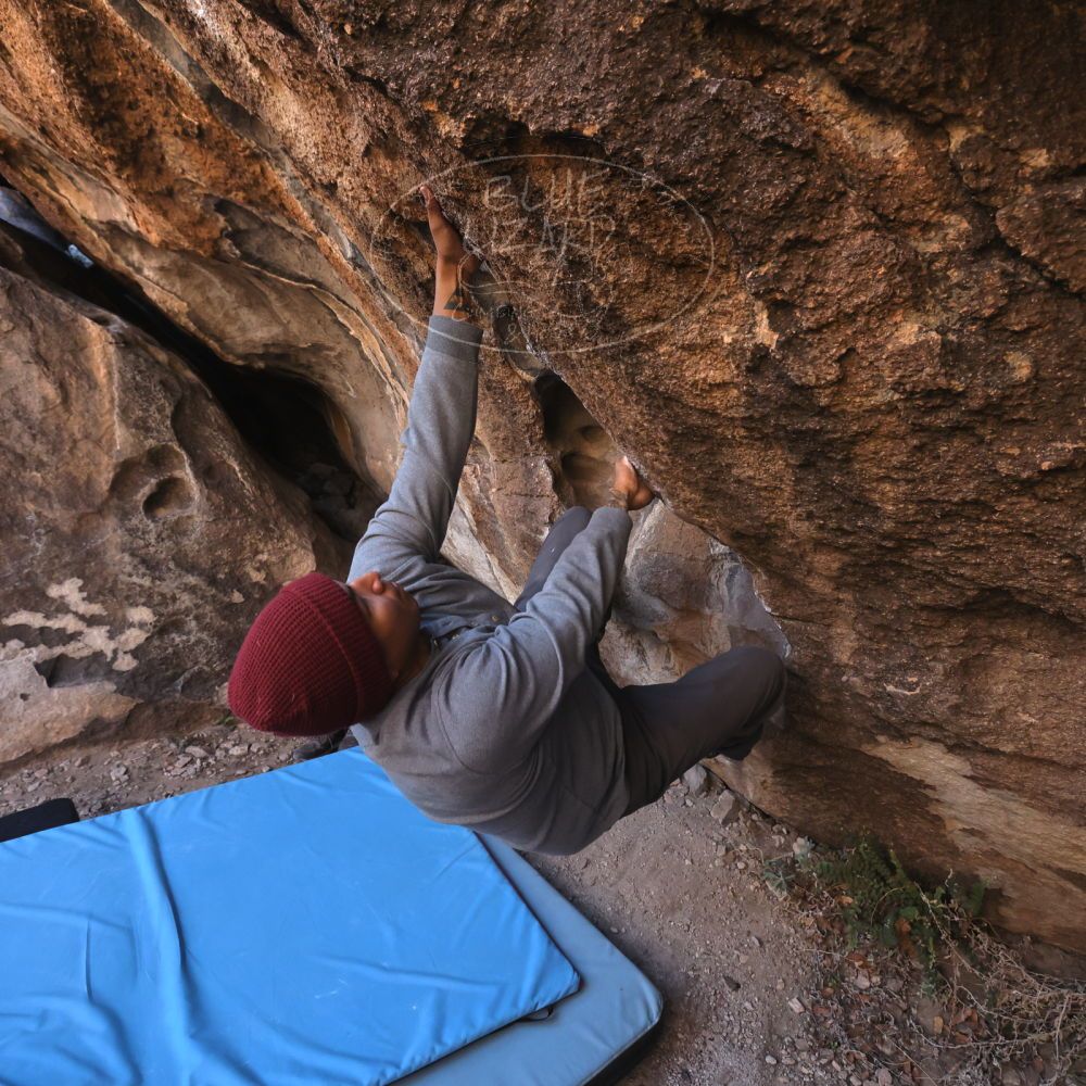 Filename: SRM_20231120_1014190.jpg
Aperture: f/5.6
Shutter Speed: 1/800
Body: Canon EOS R6
Lens: Canon EF 16-35mm f/2.8 L