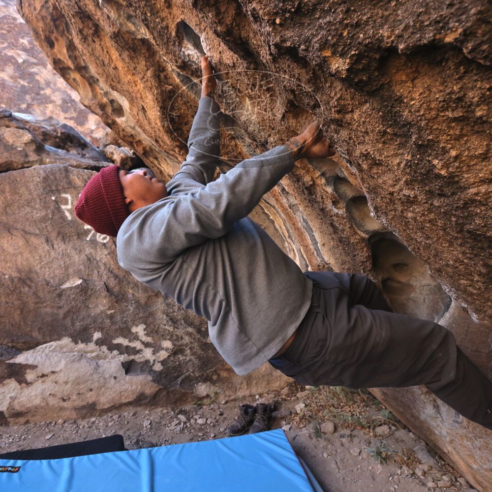 Filename: SRM_20231120_1014342.jpg
Aperture: f/5.6
Shutter Speed: 1/800
Body: Canon EOS R6
Lens: Canon EF 16-35mm f/2.8 L